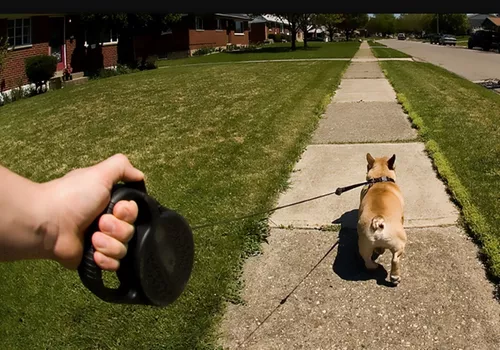 Coleira retrátil para cachorro